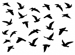 Crafty Individuals - A Flock of Birds
