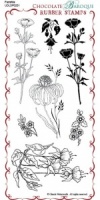 Fuchsia Rubber Stamp Sheet - DL