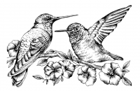 Crafty Individuals - Hummingbirds amongst Blossoms