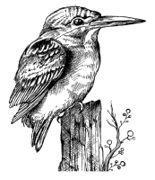 Crafty Individuals - Kingfisher